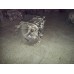 Versnellingsbak Ford Transit 2.2 / 2.4 TDCI 6-Bak